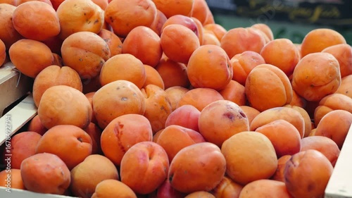 Close-up of ripe apricot stacked at a grocery market. Ideal for healthy food. Agriculture, organic products concept. High quality 4k footage