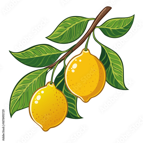 Lemons on a branch vector illustration flat. Image of a branch with yellow citrus fruits and leaves. For packaging and design.	