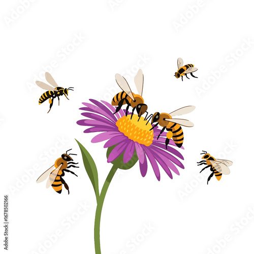 Bees Pollinating a Purple and Yellow Flower with Green Stem on White Background