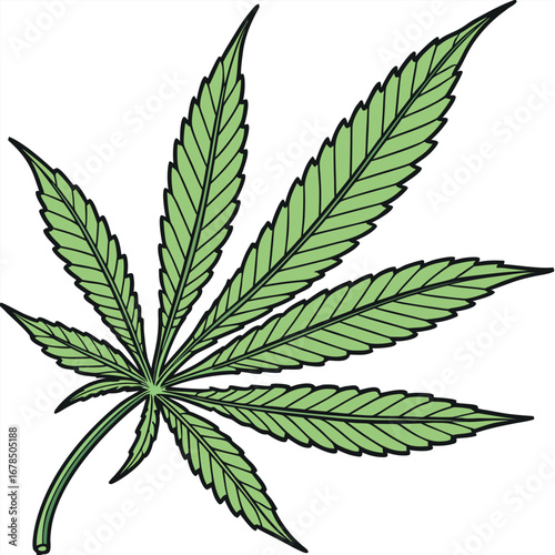 Detailed illustration of a cannabis leaf, showcasing its intricate structure and vibrant green color.