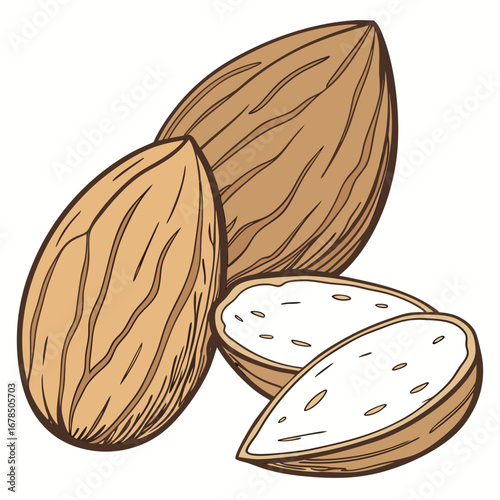Illustration of whole and halved almonds, a healthy and nutritious snack.