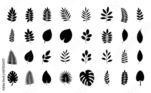 Collection of Black and White Leaf Silhouettes, Various Shapes and Styles