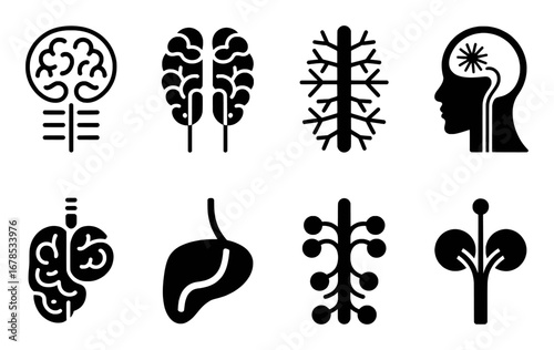 Collection of Medical and Biological Icons: Brains, Nerves, and Organs