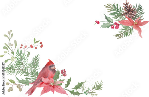 Watercolor Christmas background. Hand-painted illustration featuring a red cardinal bird, pine branches, holly leaves with berries, poinsettia flowers, pinecones, and winter greenery. Vector EPS.