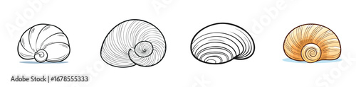 Clam vector illustration featuring a cute cartoon mix of elements in a playful and colorful style.