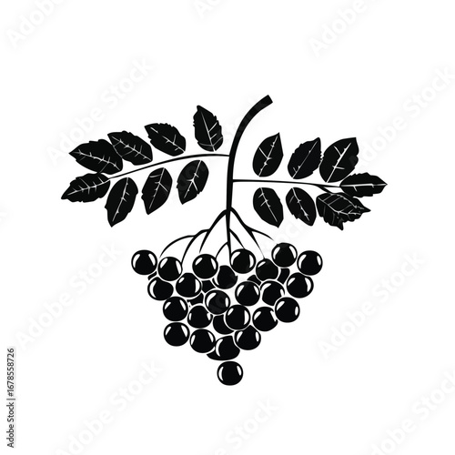 Rowanberry vector icon design in a clean, minimal, and modern style.