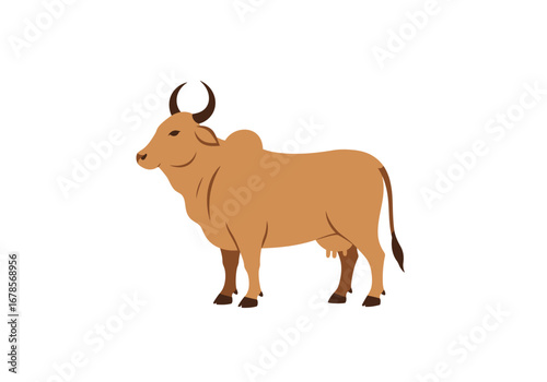 A brown cow with curved horns standing on a white background