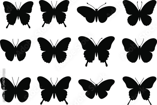 Butterfly silhouette collection, black insect icons, symmetrical wing shapes, entomology reference, vector set, nature design, isolated graphic elements