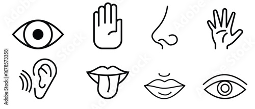 Five human senses outline icons set. Human senses 5 five types. Vision through eye, Smell with nose, hearing ear, touch hand,  taste mouth with tongue. Vector illustration.