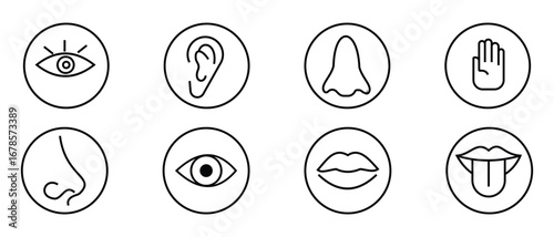 Five human senses outline icons set. Human senses 5 five types. Vision through eye, Smell with nose, hearing ear, touch hand,  taste mouth with tongue. Vector illustration.