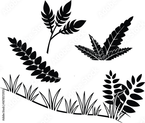 Detailed natural scene with lush foliage and ground cover silhouette