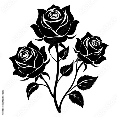 Mystic Roses Bundle Black Silhouette Vector Illustration on White Background