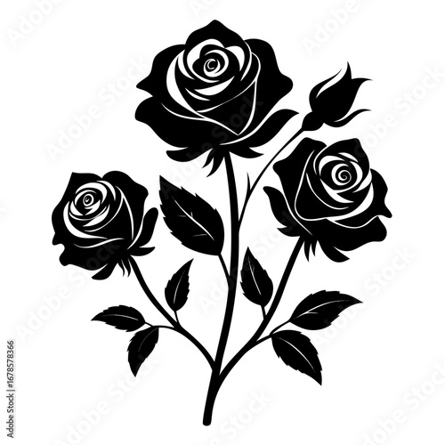 Mystic Roses Bundle Black Silhouette Vector Illustration on White Background