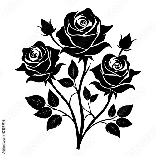 Floral Mystic Roses Bundle Silhouette Vector Design Isolated on White