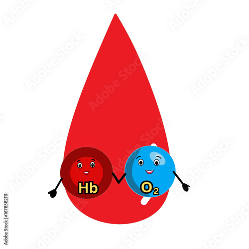 haemoglobin and oxygen relationship inside blood concept illustration heame carries oxygen design medical biology science illustration.eps