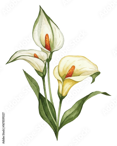 Adobe Illustrator Artwork