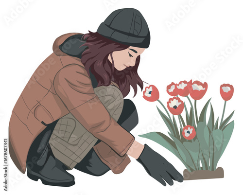 A young woman dressed in a warm winter jacket and beanie crouches down to tend to a pot of beautiful red tulips, a vector illustration about gardening