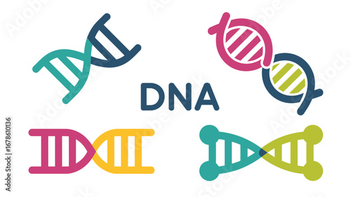 Colorful dna structures displayed with the text dna in the center on a white background design vector