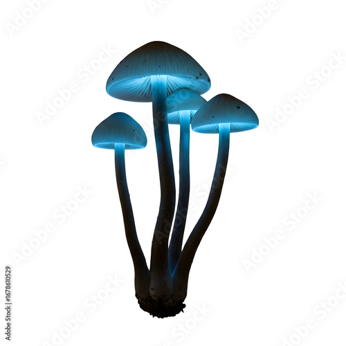 Glowing mushrooms isolated on transparent background, showcasing bioluminescence in a surreal and magical setting, perfect for fantasy or naturethemed designs