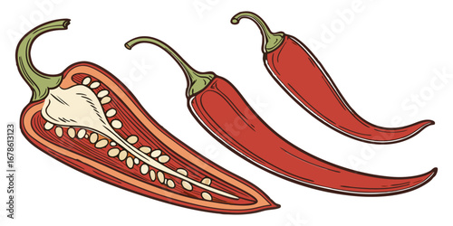 Slices of raw jalapeno pepper. vector illustration