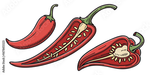 Slices of raw jalapeno pepper. vector illustration