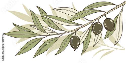 Cartoon set of olive tree branches on white