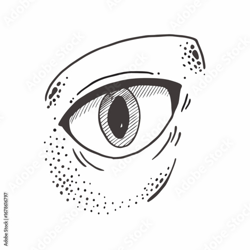 Minimilist close up of a stylized eye with hatching and stippling details in black and white illustration vector