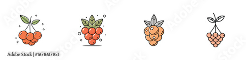 Rowanberry vector icon collection with clean lines and modern minimal style.