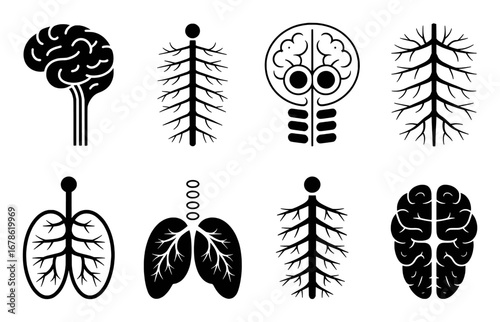 Collection of Stylized Human Organ and Nervous System Icons