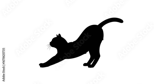 Silhouette of a black cat stretching its body with its back arched and tail raised