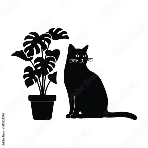 Charming black cat sitting next to a lush monstera plant in a pot
