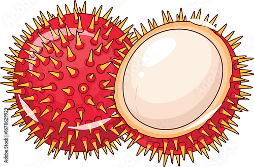 Vector vector art of two halves of a kiwi fruit showing its green flesh and black seeds transparent background