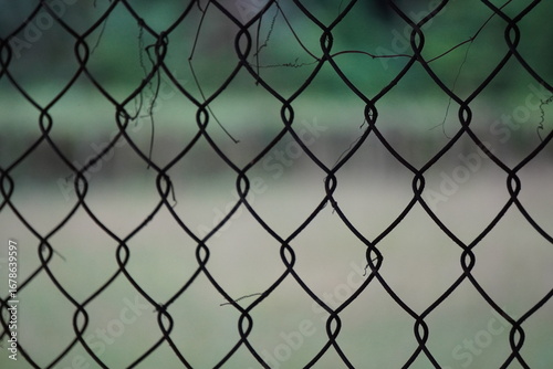 Black Chain-Link Fence with Blurred Natural Background