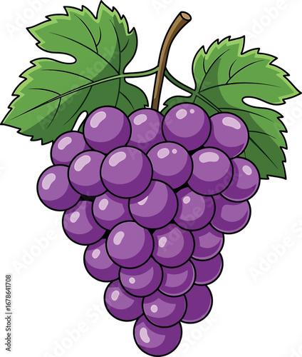 Vector vector art of juicy half lime with bright green flesh and white segments, transparent background