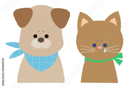 犬と猫