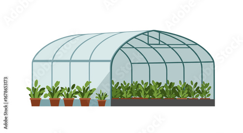 Greenhouse with lush plants in modern glass structure