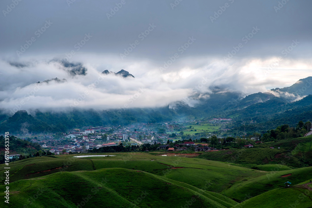 Fototapeta premium nature landscape