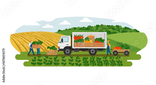 Farm harvest scene with workers loading fresh produce into a truck on a sunny day