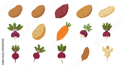 Colorful collection of root vegetables in flat design on white background