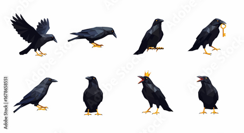 A collection of stylized, geometric illustrations depicting various poses of black crows.