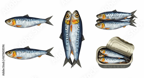 Illustration of sardines: individual fish, a pair, a stack, and canned sardines, all depicted in a watercolor style.