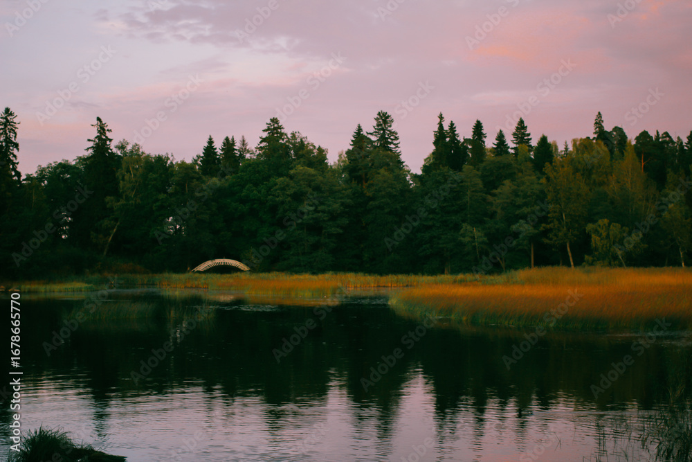 Naklejka premium Calm lake at sunset surrounded by coniferous trees. Concept of northern autumn nature, photographed in Mon Repos Park, Leningrad Oblast