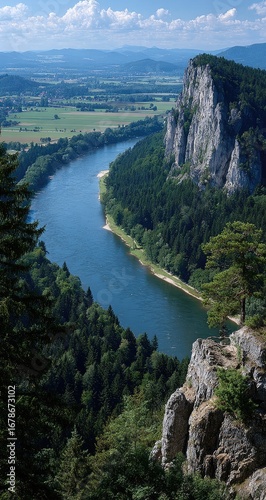 Podobny obraz