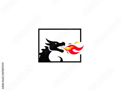 Dragon silhouette with fire graphic design