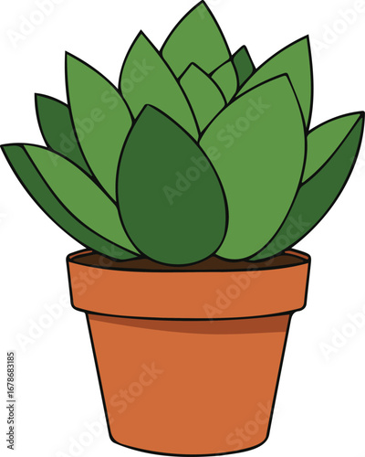 Vibrant green succulent plant in a classic terracotta pot, perfect for home decor and nature themes