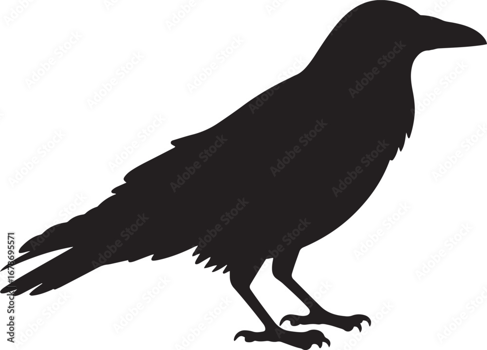 Fototapeta premium Halloween crow silhouette art illustration Shapes Collection Isolated on White Background