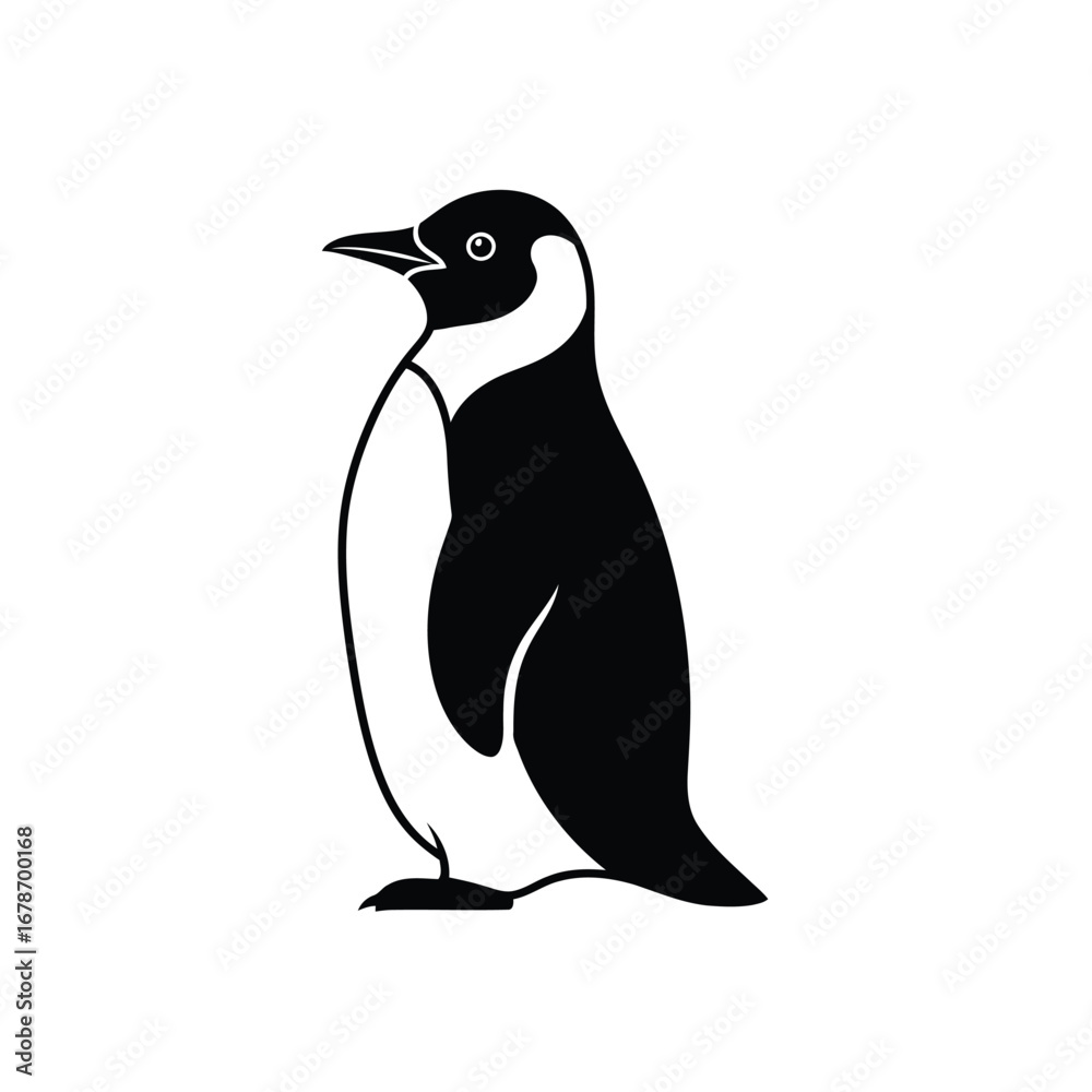 Fototapeta premium Vector illustration of black and white penguin illustration