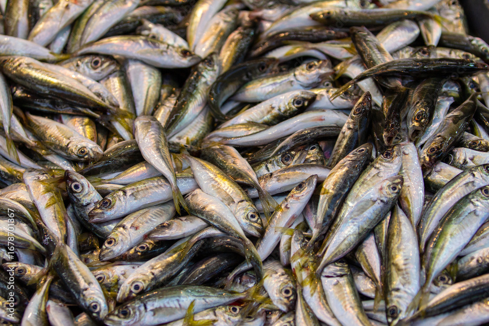 Fototapeta premium A pile of freshly caught sardines or anchovies in a food market. The shiny silver and white texture is an excellent reference for food-related visuals, product photography, or organic texture mapping.
