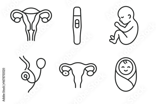 Pregnancy and reproduction icons: uterus, test, baby, fertilization, newborn