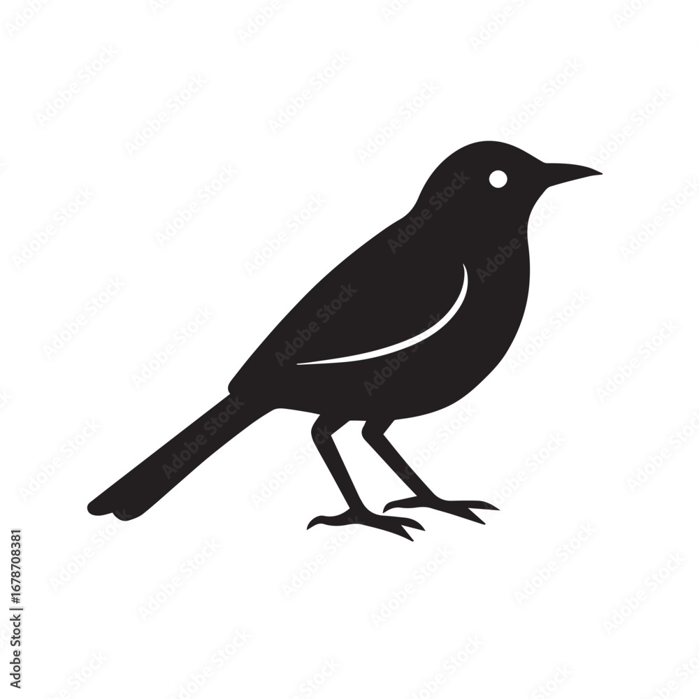 Obraz premium Silhouette of a graceful bird perched, isolated on white background